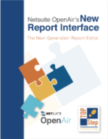 NetSuite OpenAir New Report Interface