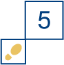 TOP Step Consulting Process Step 5